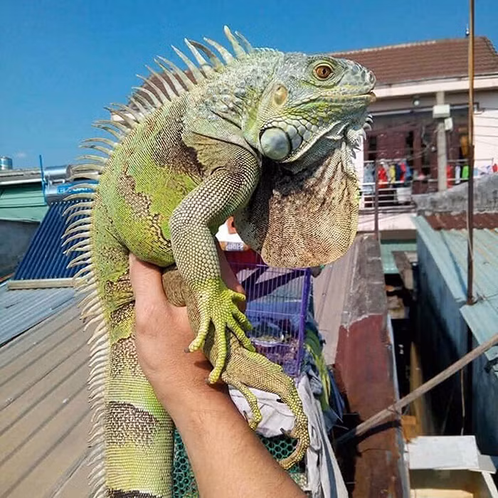 Đừng biến 