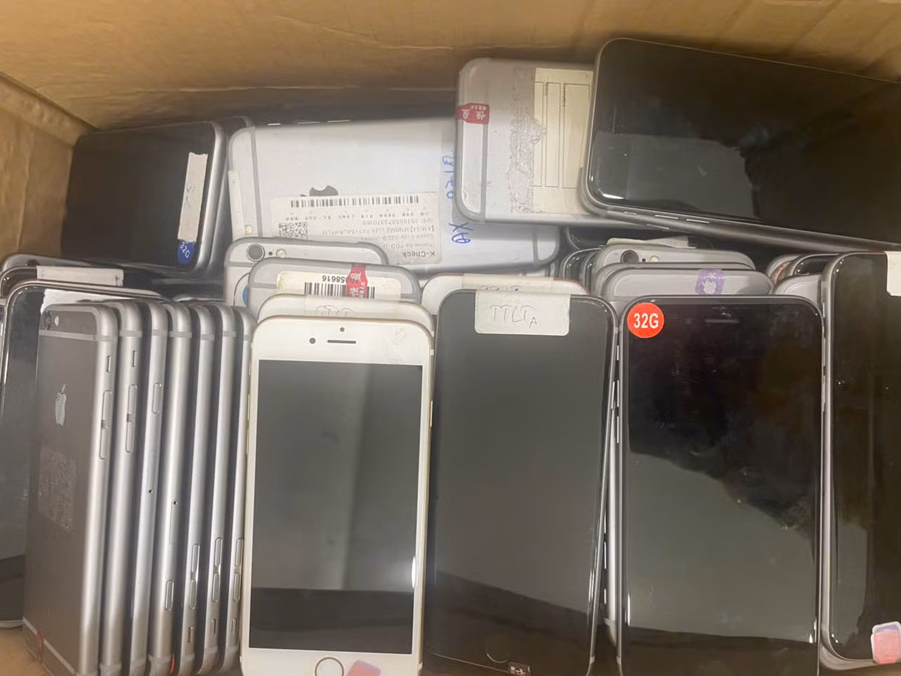 e4a2fb176e6cda32837d.jpg -0