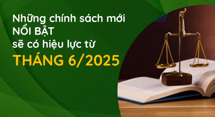 Những chính sách mới nổi bật sẽ có hiệu lực từ tháng 6/2025 -0