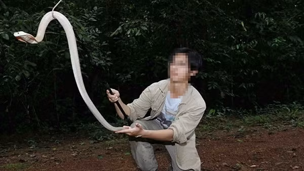 Đừng biến "thú cưng" thành hiểm họa