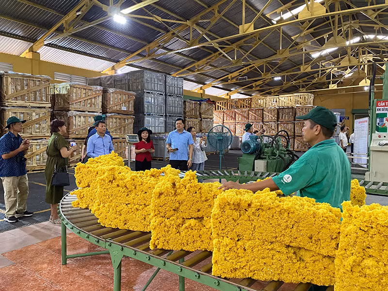 Sáng mãi truyền thống Cao su Đồng Nai anh hùng -0