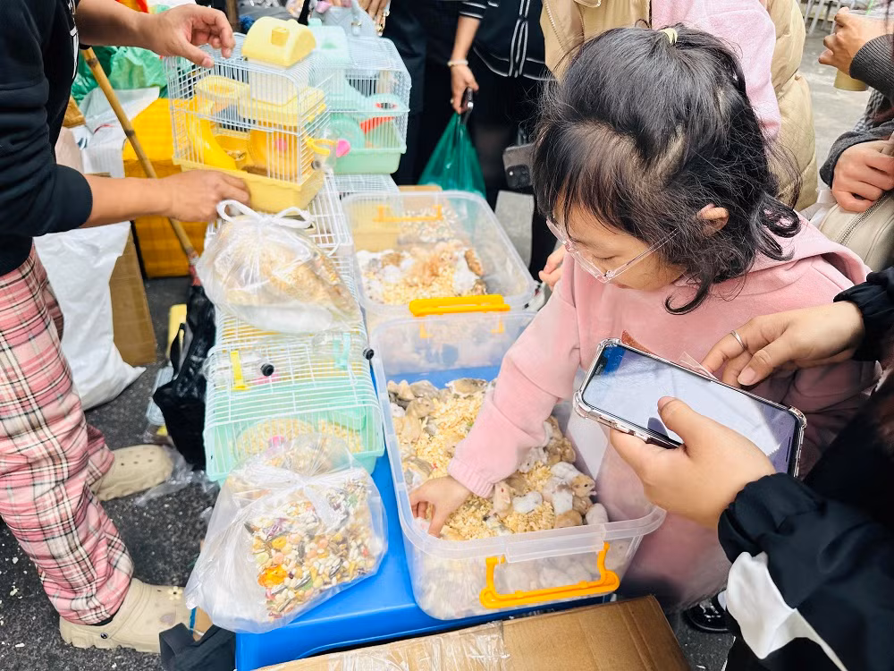 Nhộn nhịp chợ hoa xuân Hàng Lược -0