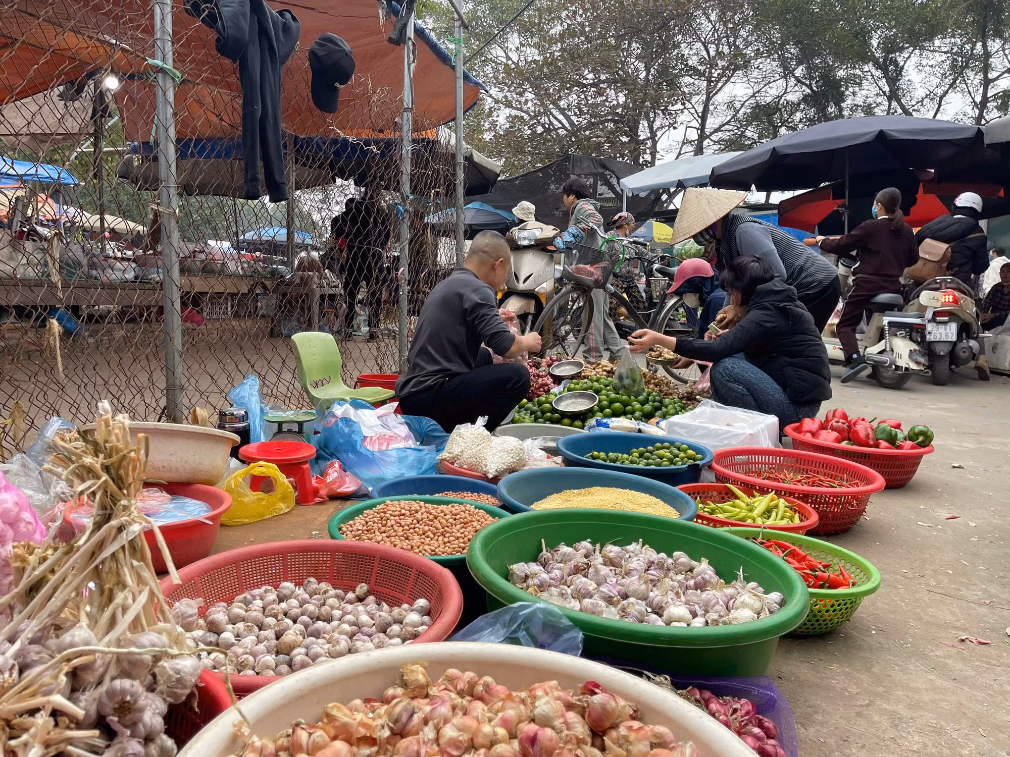 Thị trường ngày 24 Tết Ất Tỵ: Chuối xanh đắt đỏ -0