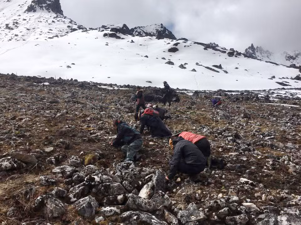 Tìm “sâu vàng” trên đỉnh Gangkhar Puensum, Bhutan _CAND TET_T45 -0