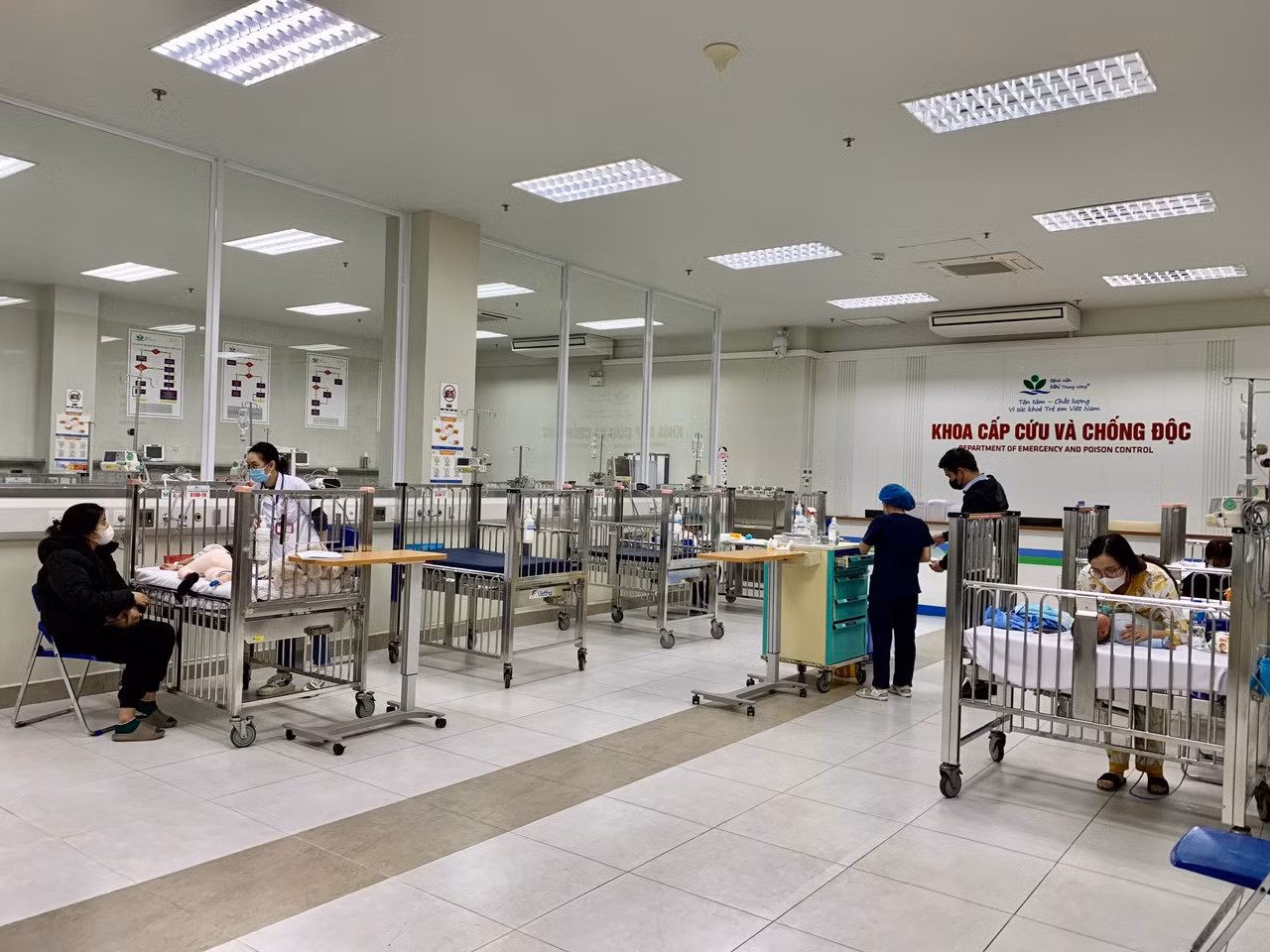 Uống thuốc cam chữa động kinh, bé gái 9 tuổi mất não vì ngộ độc chì -0