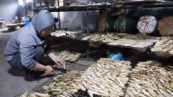 Làng nghề nướng cá biển&nbsp;bằng than hoa đỏ lửa phục vụ Tết