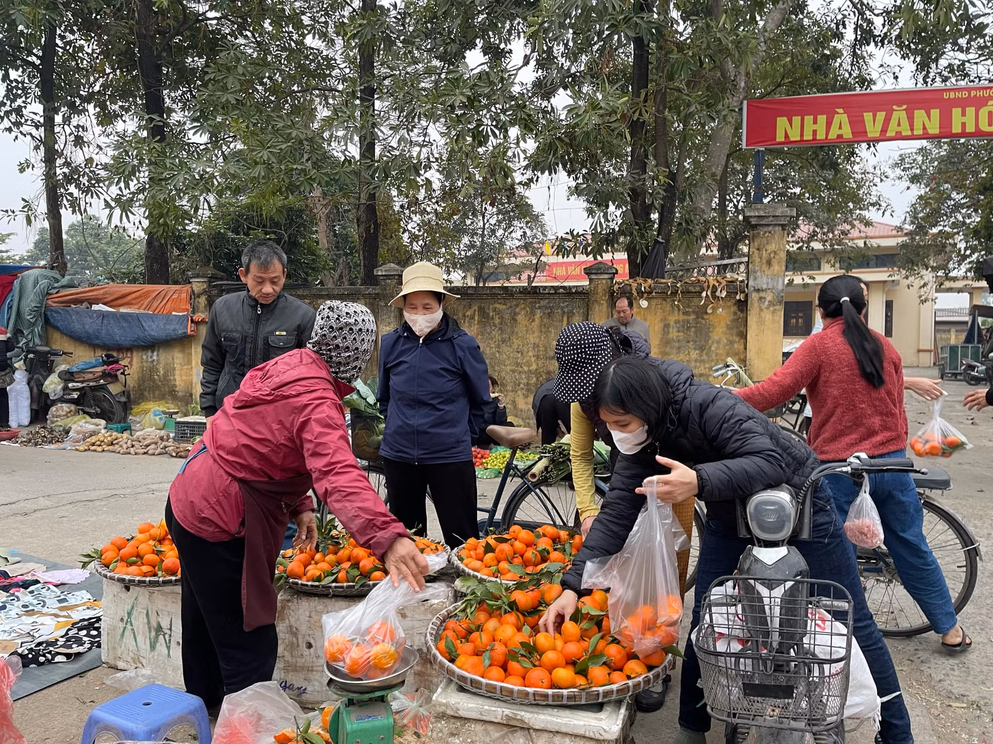 Thị trường hàng hóa, đồ lễ cúng ông Táo dồi dào, sức mua tăng -0