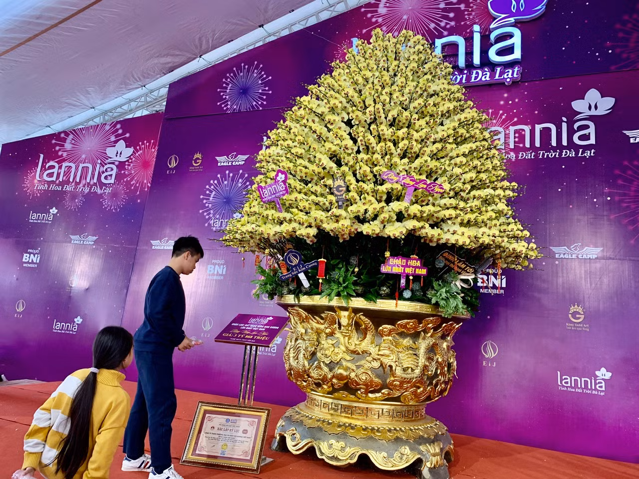 Thị trường cây cảnh Tết: Người ngắm nhiều hơn người mua -0