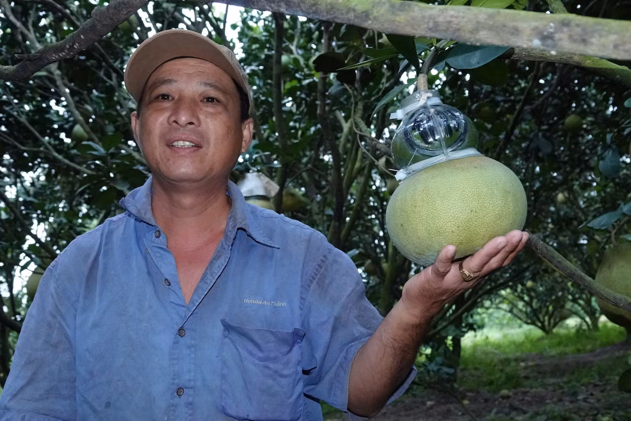 ĐBSCL: Hàng hóa dồi dào, sức mua tăng -0