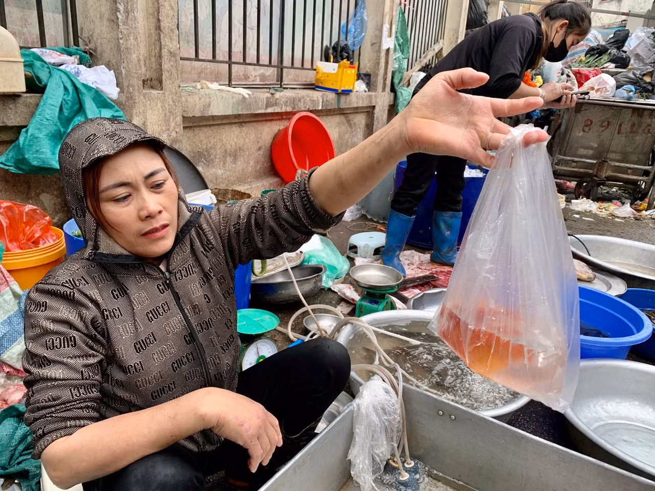 Cá chép tăng giá trong ngày ông Công ông Táo -0