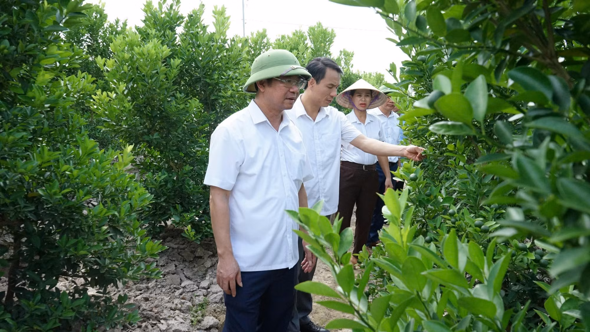 Triệu Sơn trở thành huyện nông thôn mới nâng cao của tỉnh Thanh Hoá -0