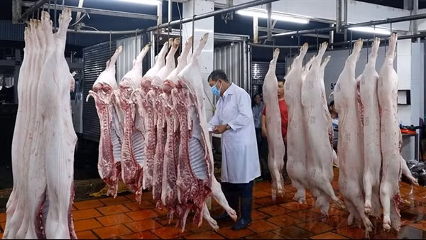 Vì sao doanh nghiệp ngại đầu tư cơ sở giết mổ gia súc?