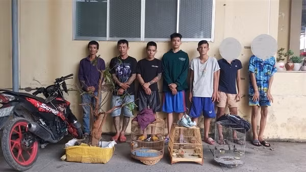 Băng nhóm nghiện ma túy gây ra hơn 20 vụ cướp giật và trộm cắp tài sản