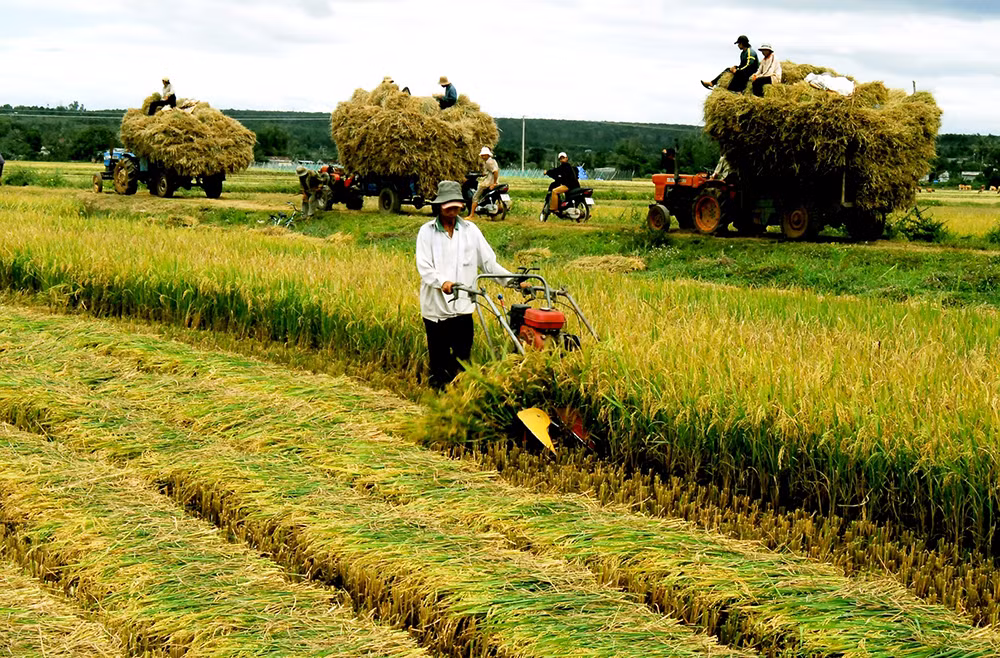 Tìm giải pháp hỗ trợ phát triển nông nghiệp, nông thôn bền vững -0