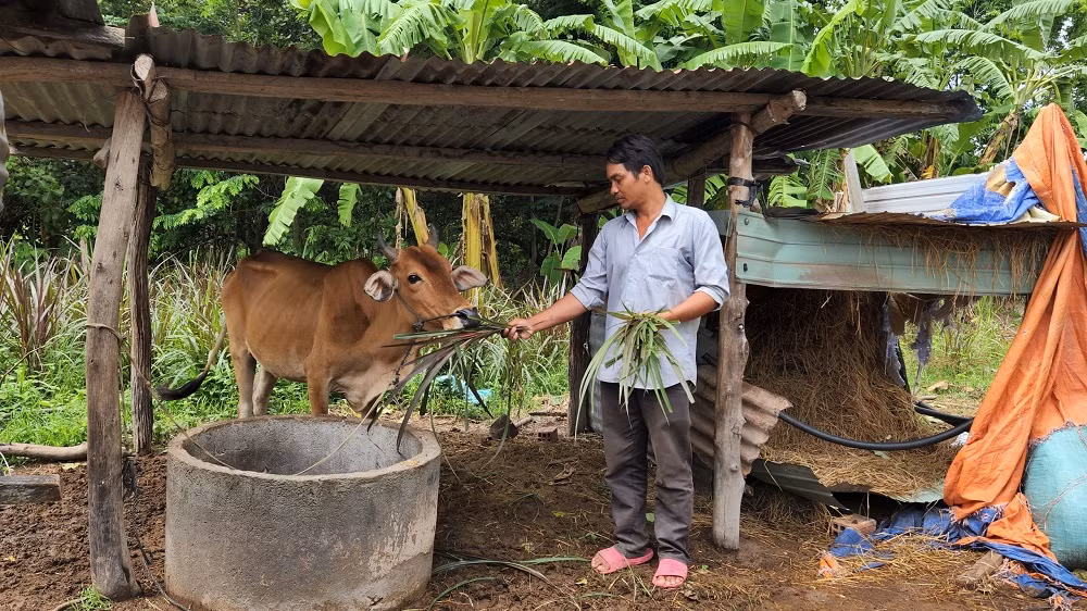 Nguồn vốn chính sách giúp đồng bào dân tộc thiểu số vượt khó, thoát nghèo -0