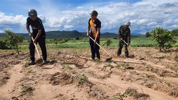 Nhiều chính sách giúp đồng bào dân tộc thiểu số ổn định cuộc sống, vươn lên làm giàu