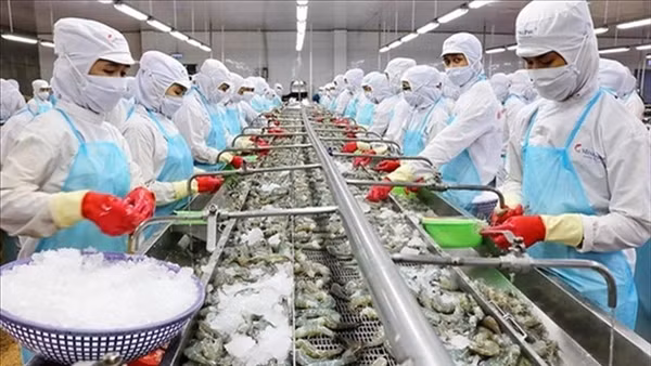 Xuất khẩu giảm mạnh, ngành thuỷ sản khó khăn hơn thời điểm dịch COVID-19