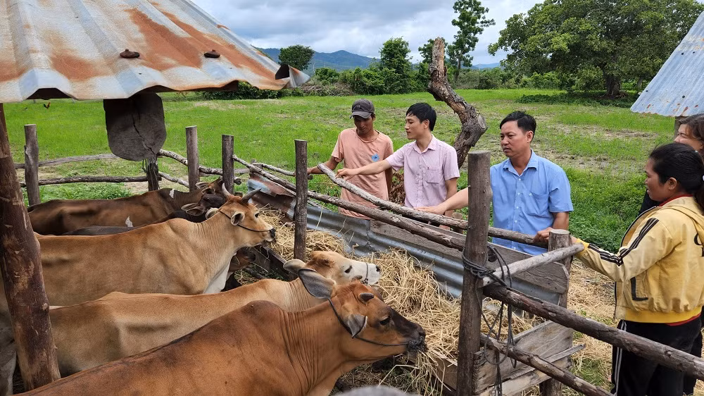 Nguồn vốn chính sách giúp đồng bào dân tộc thiểu số vượt khó, thoát nghèo -0
