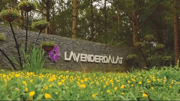 Khu du lịch Lavender Đà Lạt, điểm nhấn ấn tượng ở hồ Tuyền Lâm