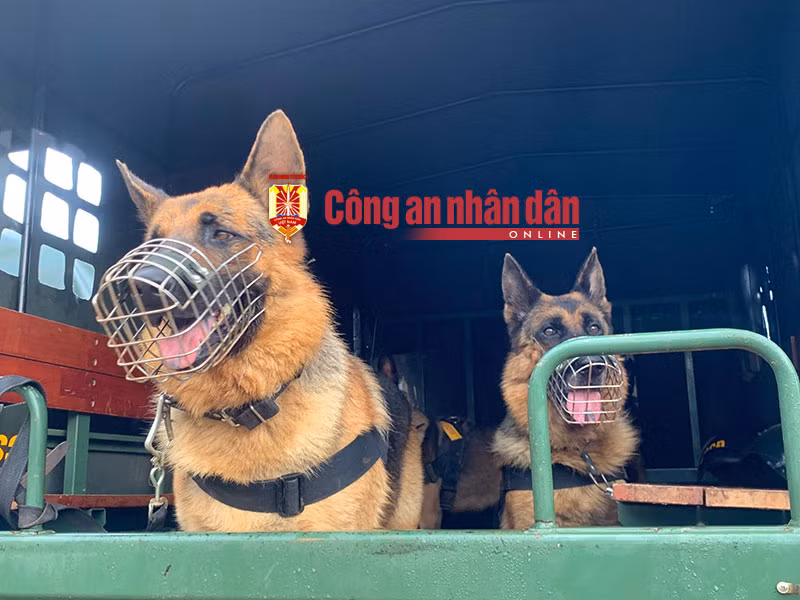 Lực lượng Công an đã bắt 39 đối tượng gây mất ANTT tại Đắk Lắk -0