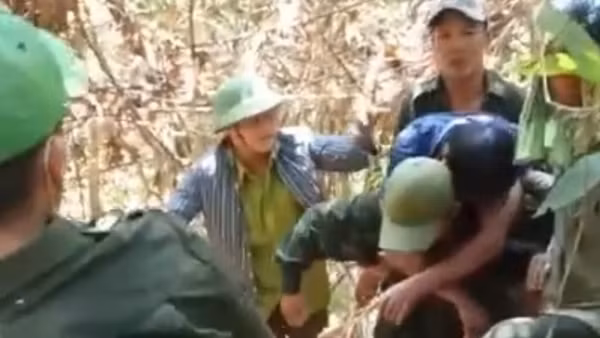 Bị bỏng nặng vì đốt lửa lấy mật ong rừng