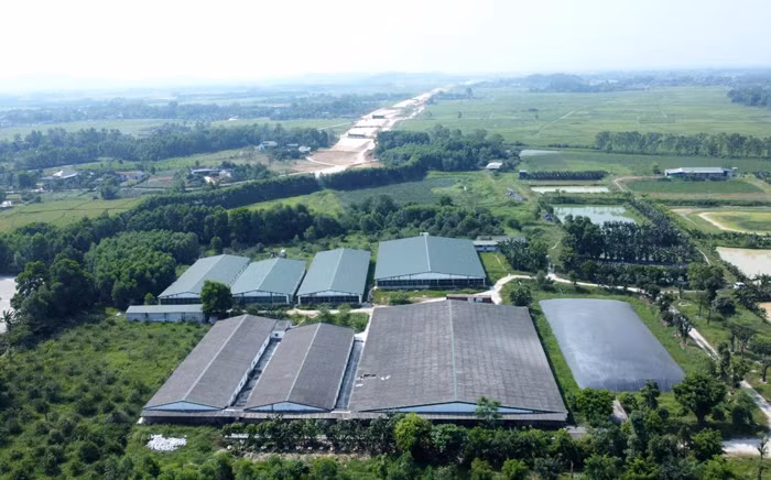 Bất thường trong việc tăng đàn, điều chỉnh quy hoạch -0