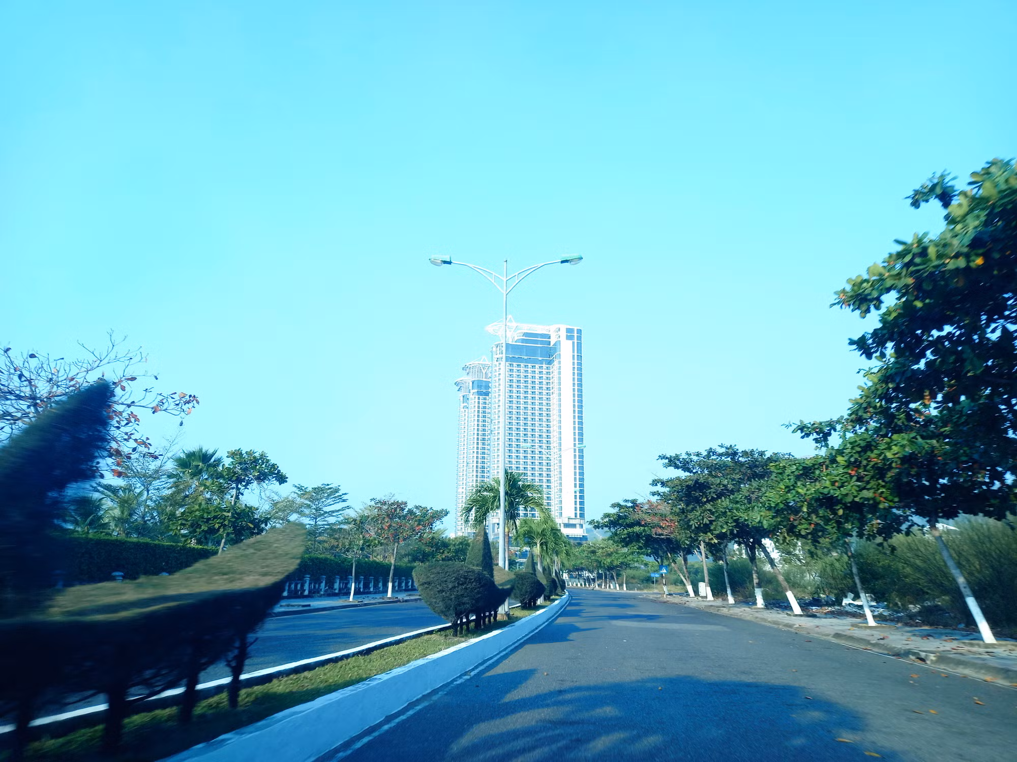 Khánh Hòa kiểm tra cung cấp hồ sơ các dự án liên quan Công ty TNHH Cây xanh Công Minh -0