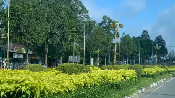 Tiếp tục rà soát các dự án cây xanh, chỉnh trang đô thị theo yêu cầu của Bộ Công an
