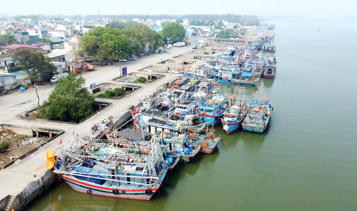 Thanh Hoá triển khai nhiều phương án gỡ “thẻ vàng” IUU -0