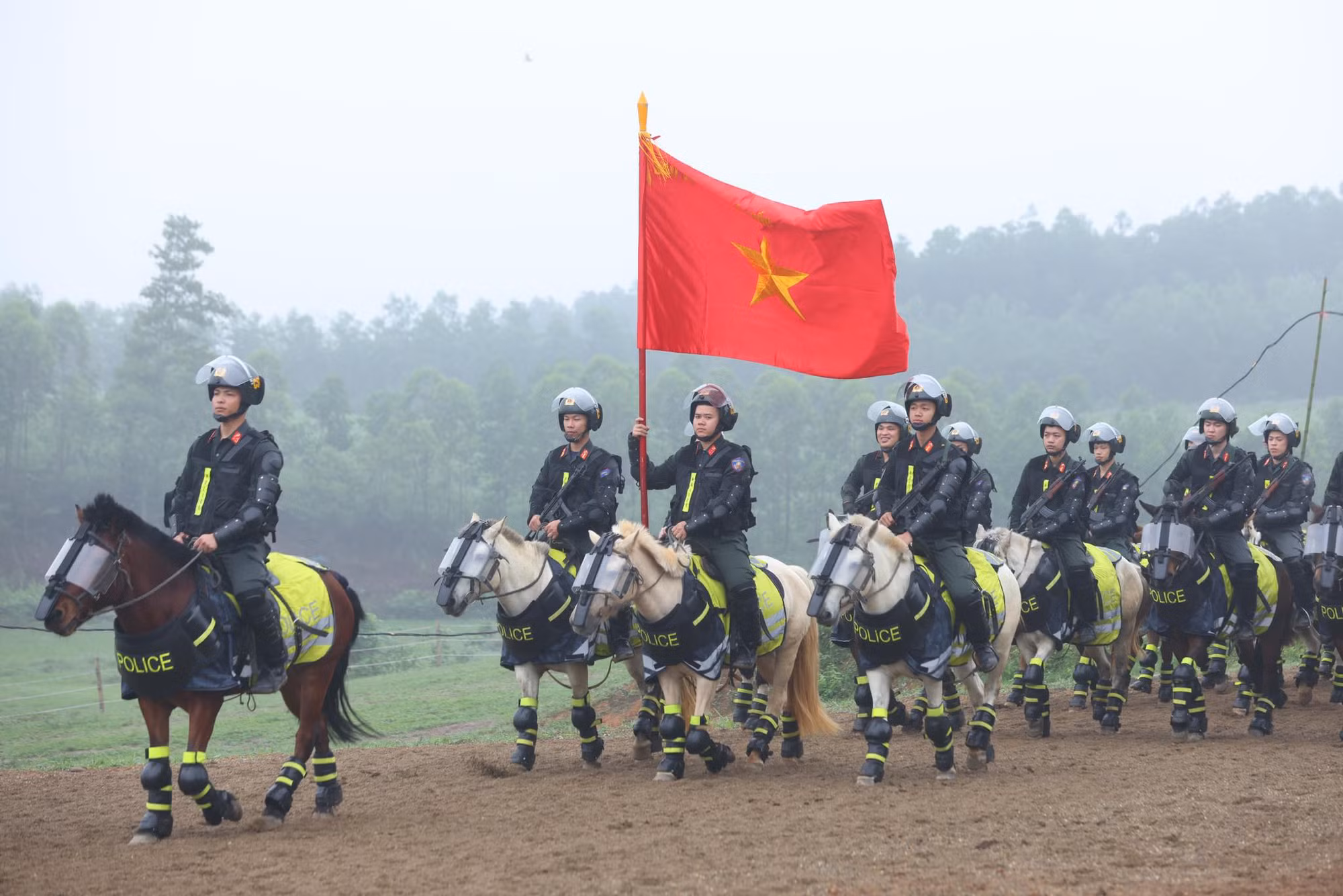 Chuyện về những “người bạn chiến mã” -0