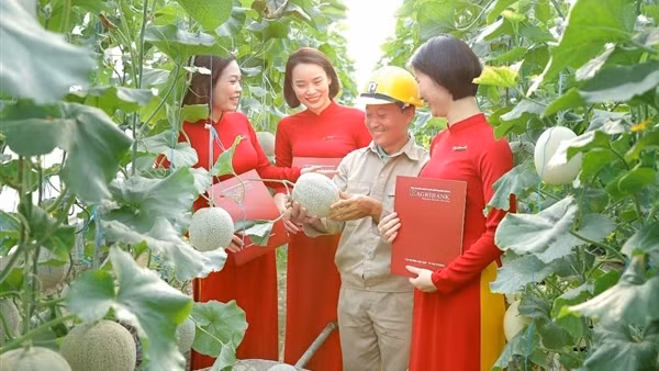 Agribank dành trên 180.000 tỷ đồng vốn ưu đãi lãi suất thấp hỗ trợ khách hàng sản xuất, kinh doanh