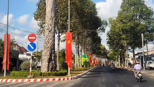 Nhiều tỉnh gấp rút rà soát các gói thầu liên quan đến Công ty Công Minh