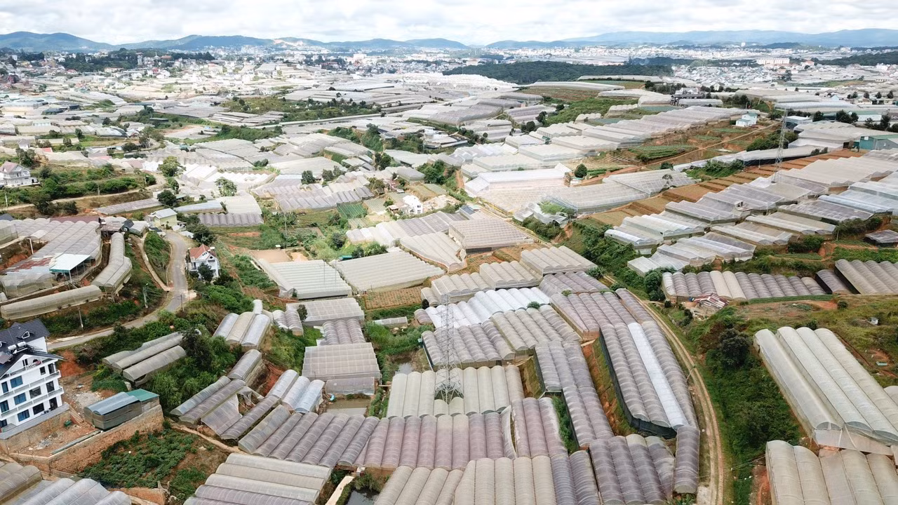 nha kinh 1.jpg -0