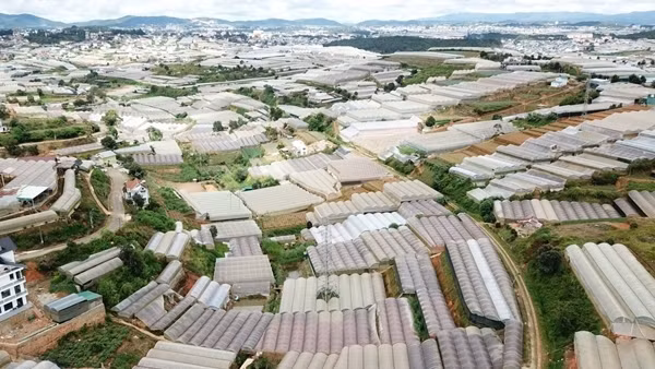 Nhà kính và mối nguy hiện hữu ở Đà Lạt