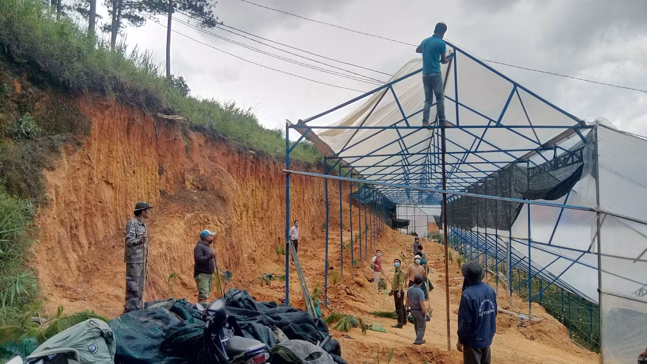 Nhà kính và mối nguy hiện hữu ở Đà Lạt -0