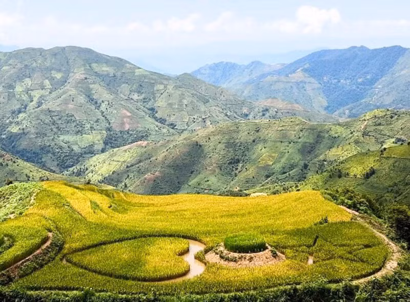 “Bức tranh” Sơn La ngày mùa -0