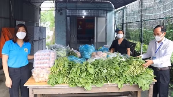 Nhiều loại nông sản Việt “đi Tây” ảnh 3