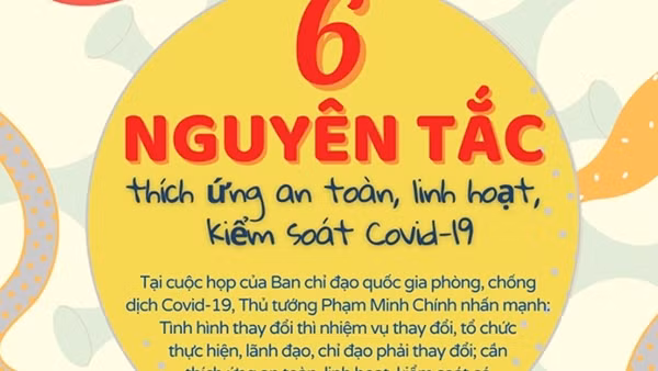 Thủ tướng lắng nghe ý kiến về thích ứng an toàn, phục hồi và phát triển kinh tế ảnh 5