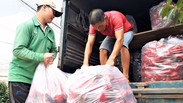 Ngân hàng Chính sách giải ngân gần 4.800 tỷ đồng trả lương phục hồi sản xuất ảnh 3