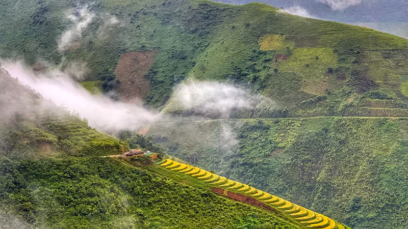 “Bức tranh” Sơn La ngày mùa -0