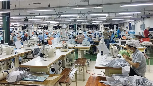Đồng bộ các giải pháp để hỗ trợ người dân và doanh nghiệp ảnh 2