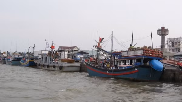 Nỗ lực khắc phục cảnh báo “thẻ vàng” hải sản khi xuất khẩu vào EU ảnh 2