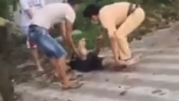 Hai thanh niên tử vong bên xe máy chở 2 con chó và dụng cụ bắt chó ảnh 2