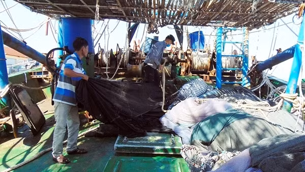 Ngư dân Đà Nẵng tất bật vươn khơi, đón lộc biển đầu năm mới ảnh 6