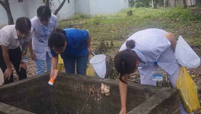 Số ca tử vong vì sốt xuất huyết tăng, Bộ Y tế yêu cầu tăng cường phòng dịch -0