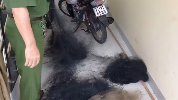 Đủ kiểu lách luật để làm nhà nuôi yến ảnh 2