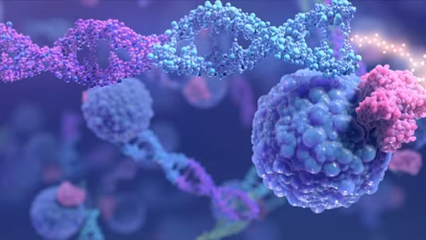 Hai nhà báo điều tra nổi tiếng thắng giải Nobel hoà bình 2021 ảnh 3