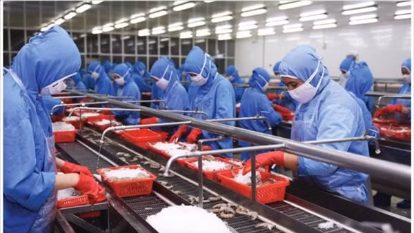 Ưu tiên dịch chuyển lao động để doanh nghiệp phục hồi ảnh 1