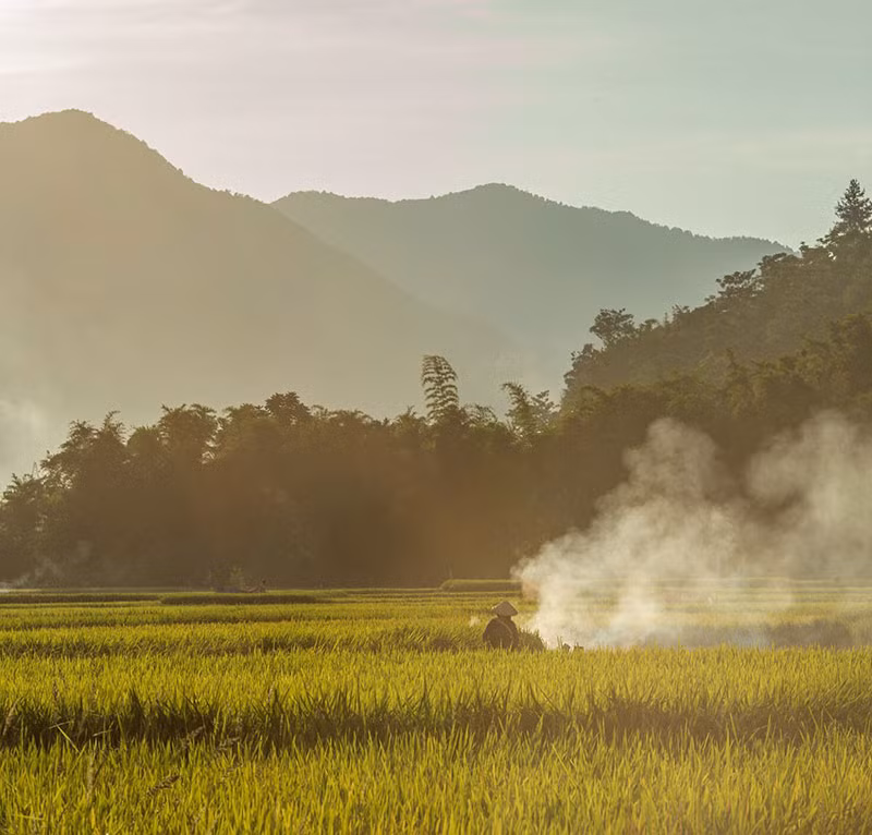 “Bức tranh” Sơn La ngày mùa -0