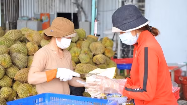 Tháo gỡ "điểm nghẽn" để sầu riêng Tây Nguyên vươn xa